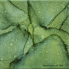 light and dark green abstract alcohol ink painting on canvas. Upclose view of leaves with lighter smaller varied sided dots throughout painting